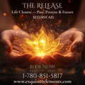 THE RELEASE

Life Cleanse — Past, Present & Future