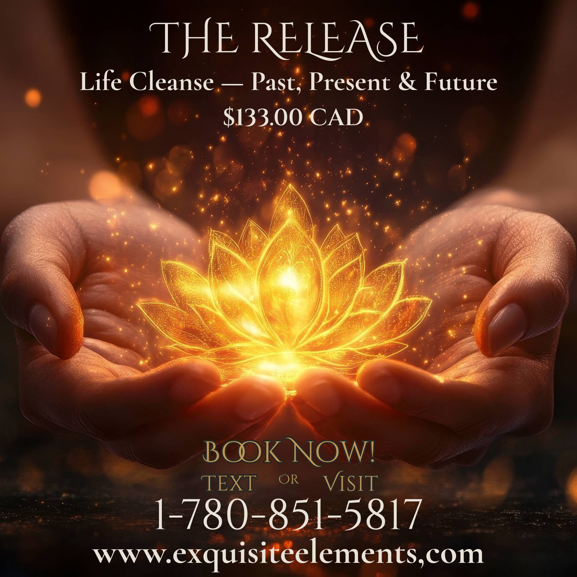 THE RELEASE

Life Cleanse — Past, Present & Future