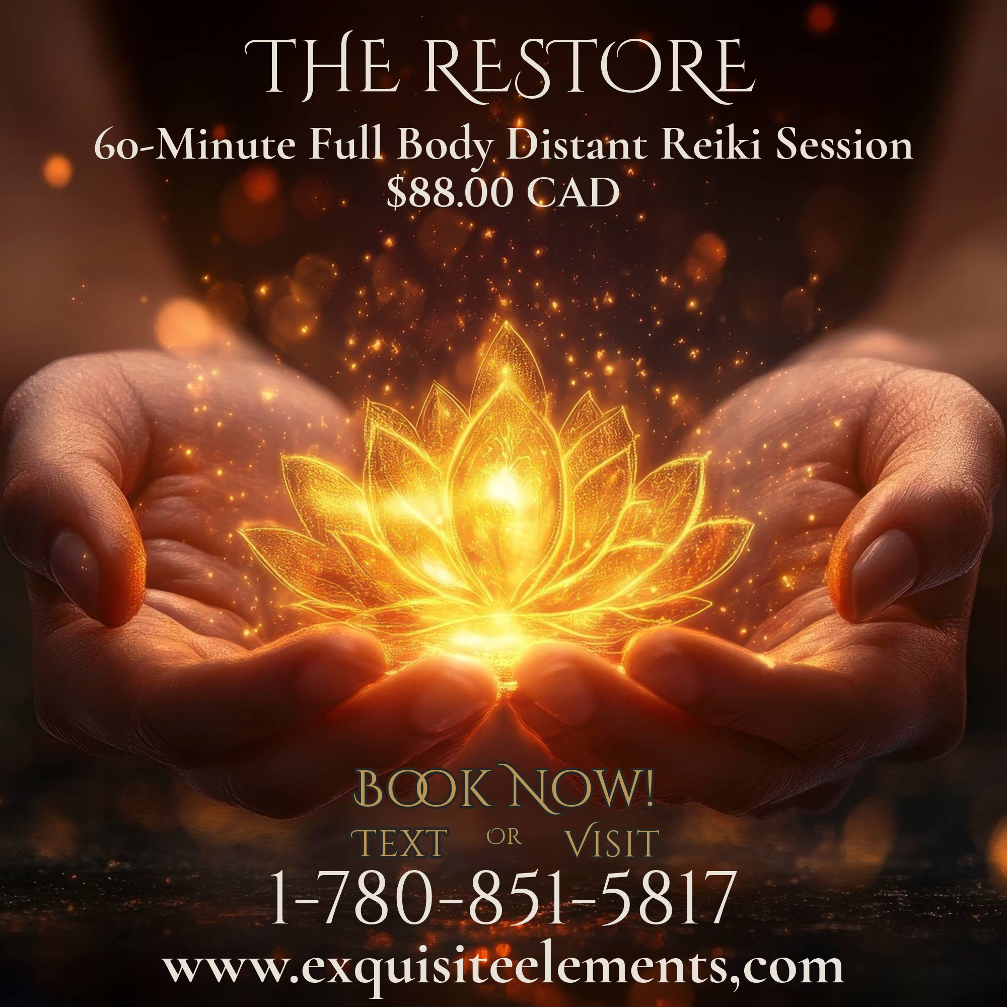THE RESTORE

60-Minute Full Body Distant Reiki Session