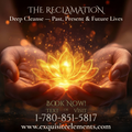 THE RECLAMATION

Deep Cleanse — Past, Present & Future Lives