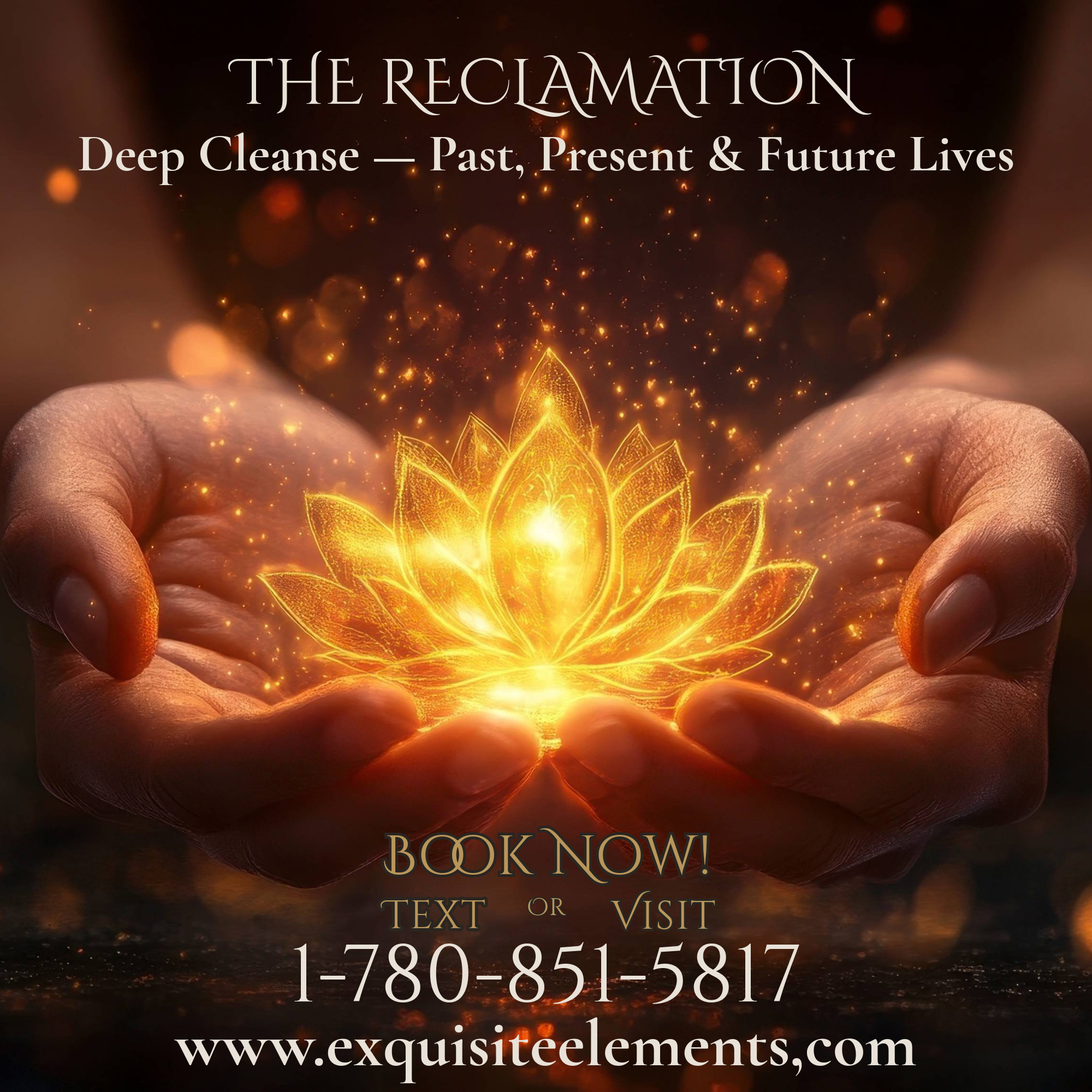 THE RECLAMATION

Deep Cleanse — Past, Present & Future Lives
